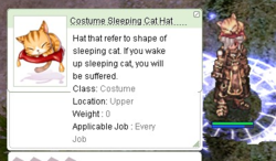 Costume Sleeping Cat Hat