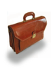 [Image: aliot-briefcase.png]